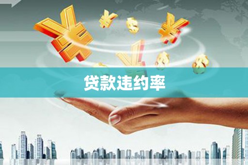 七星贷款违约率