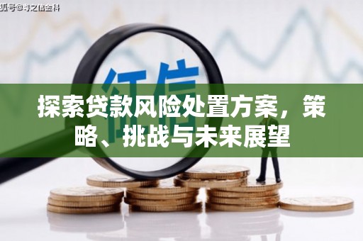 七星探索贷款风险处置方案，策略、挑战与未来展望