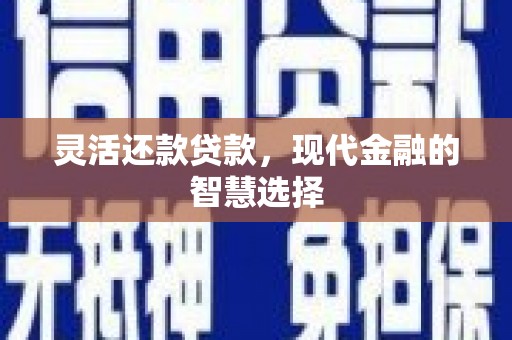 七星灵活还款贷款，现代金融的智慧选择