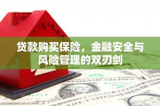 七星贷款购买保险，金融安全与风险管理的双刃剑