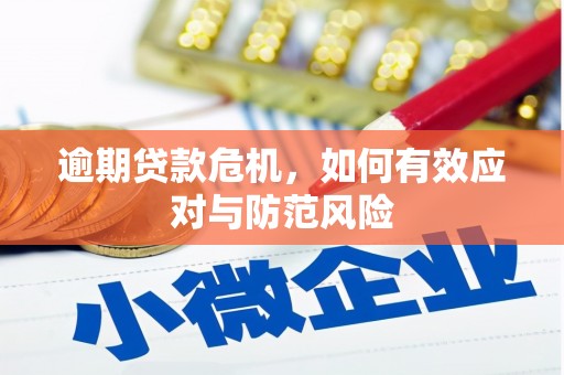 七星逾期贷款危机，如何有效应对与防范风险