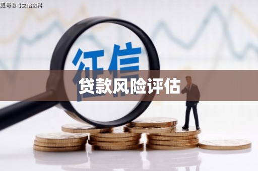 七星贷款风险评估