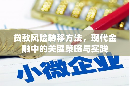 七星贷款风险转移方法，现代金融中的关键策略与实践