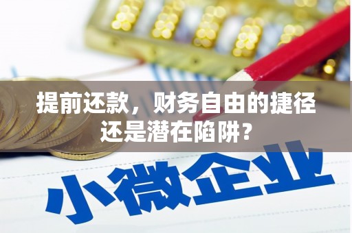 七星提前还款，财务自由的捷径还是潜在陷阱？