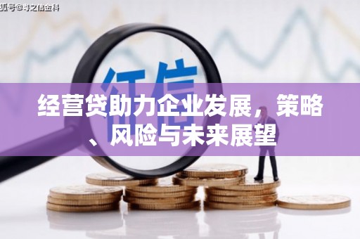 七星经营贷助力企业发展，策略、风险与未来展望