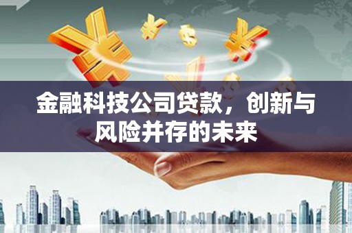 七星金融科技公司贷款，创新与风险并存的未来