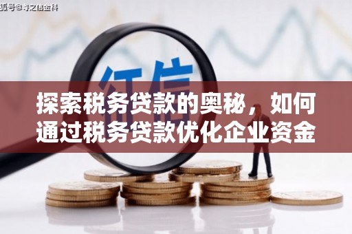 七星探索税务贷款的奥秘，如何通过税务贷款优化企业资金流