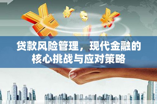 七星贷款风险管理，现代金融的核心挑战与应对策略