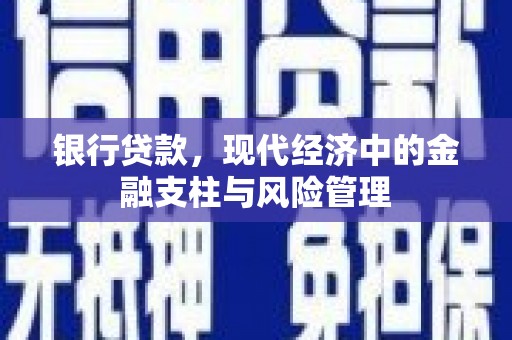 七星银行贷款，现代经济中的金融支柱与风险管理