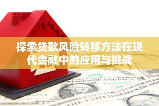 七星探索贷款风险转移方法在现代金融中的应用与挑战