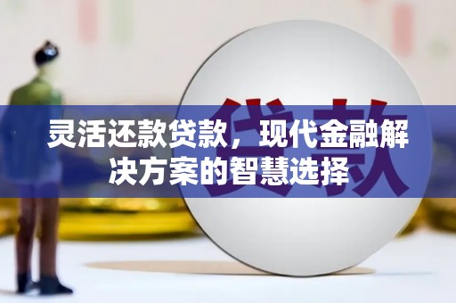 七星灵活还款贷款，现代金融解决方案的智慧选择