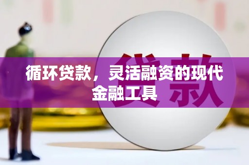 七星循环贷款，灵活融资的现代金融工具
