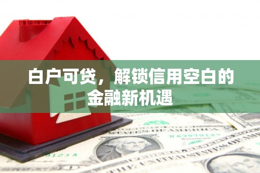 七星白户可贷，解锁信用空白的金融新机遇