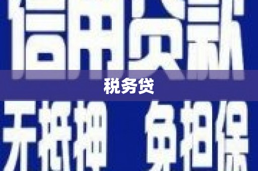 七星税务贷