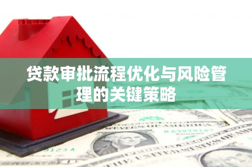 七星贷款审批流程优化与风险管理的关键策略