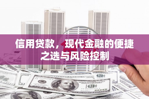 七星信用贷款，现代金融的便捷之选与风险控制