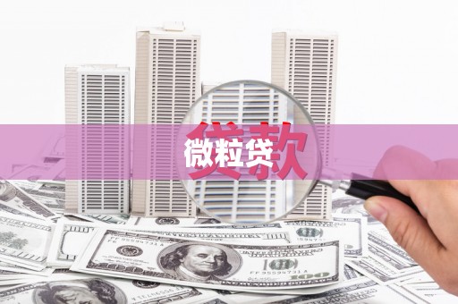 七星微粒贷