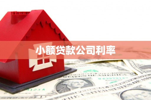 七星小额贷款公司利率