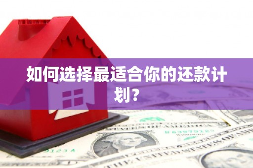 七星如何选择最适合你的还款计划？