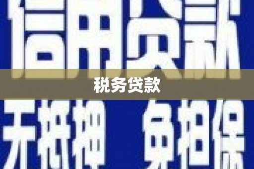 七星税务贷款