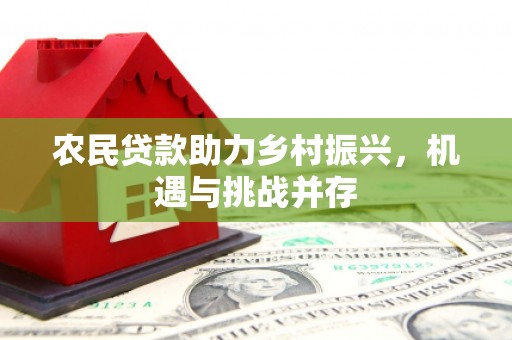 七星农民贷款助力乡村振兴，机遇与挑战并存