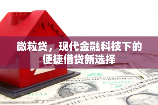 七星微粒贷，现代金融科技下的便捷借贷新选择