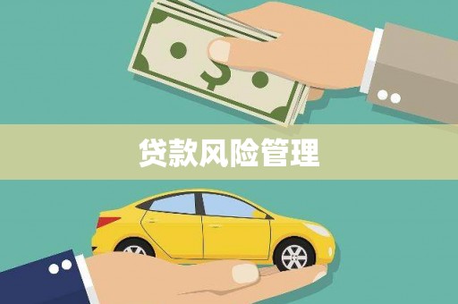 七星贷款风险管理