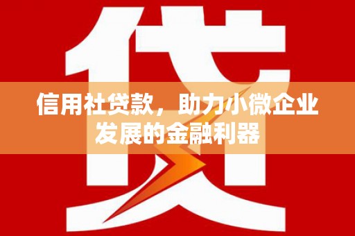 七星信用社贷款，助力小微企业发展的金融利器
