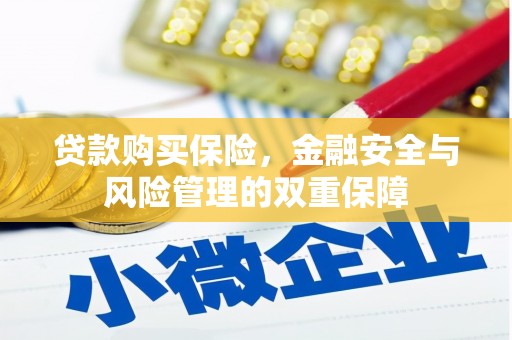 七星贷款购买保险，金融安全与风险管理的双重保障