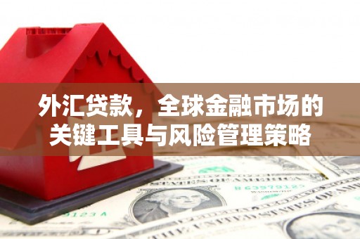 七星外汇贷款，全球金融市场的关键工具与风险管理策略