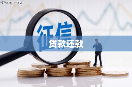 七星贷款还款