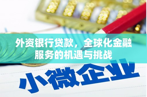 七星外资银行贷款，全球化金融服务的机遇与挑战