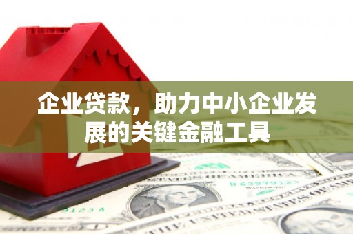七星企业贷款，助力中小企业发展的关键金融工具