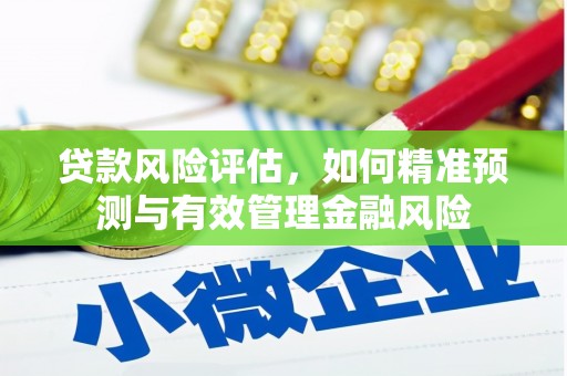 七星贷款风险评估，如何精准预测与有效管理金融风险