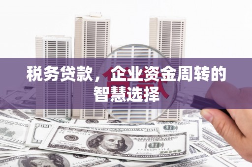 七星税务贷款，企业资金周转的智慧选择