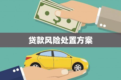 七星贷款风险处置方案