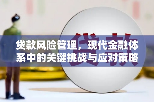 七星贷款风险管理，现代金融体系中的关键挑战与应对策略