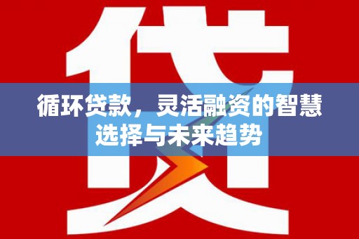 七星循环贷款，灵活融资的智慧选择与未来趋势