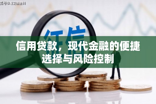 七星信用贷款，现代金融的便捷选择与风险控制