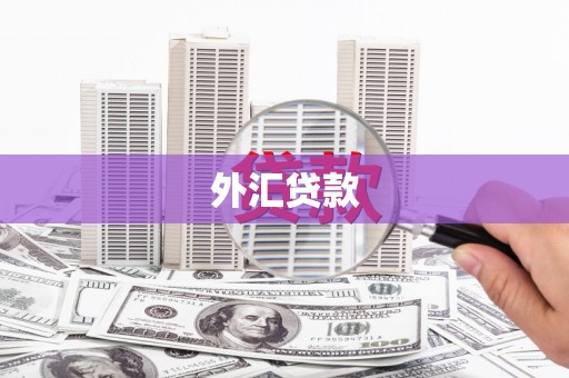 七星外汇贷款