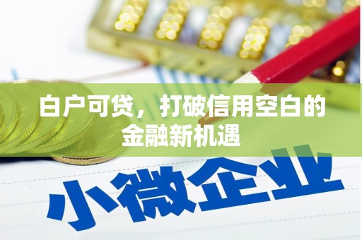七星白户可贷，打破信用空白的金融新机遇