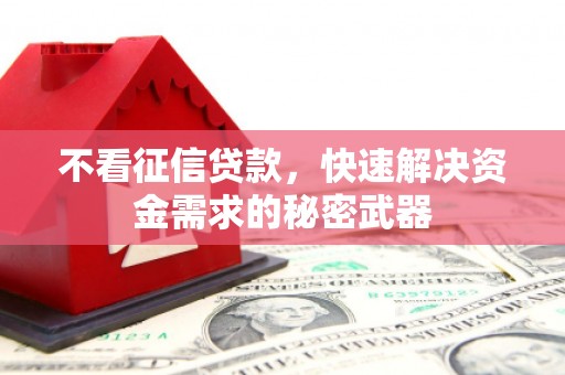 七星不看征信贷款，快速解决资金需求的秘密武器