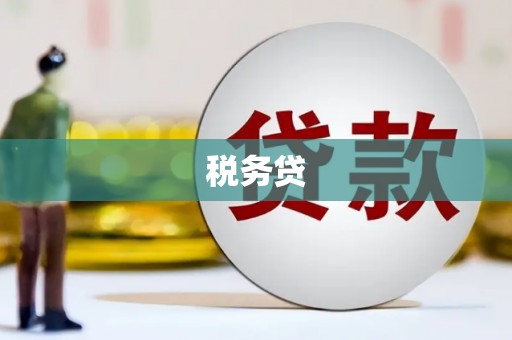 七星税务贷