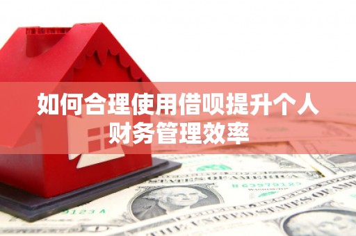 七星如何合理使用借呗提升个人财务管理效率