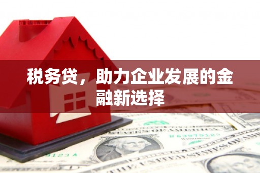 七星税务贷，助力企业发展的金融新选择