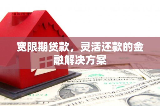 七星宽限期贷款，灵活还款的金融解决方案