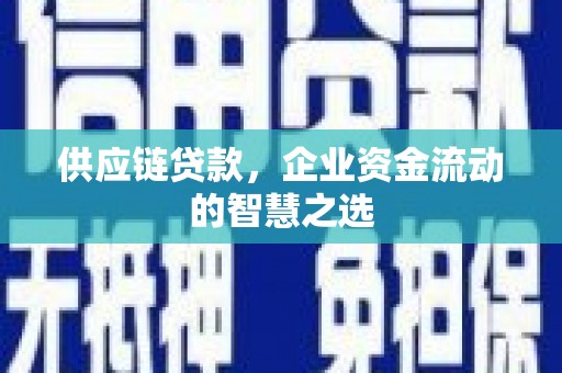 七星供应链贷款，企业资金流动的智慧之选