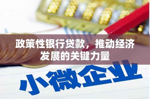 七星政策性银行贷款，推动经济发展的关键力量