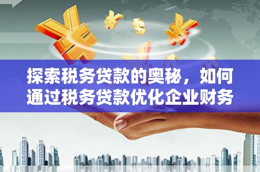 七星探索税务贷款的奥秘，如何通过税务贷款优化企业财务