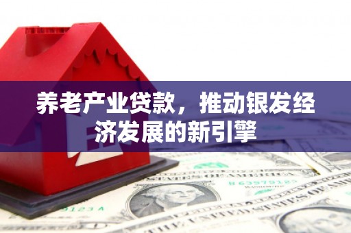 七星养老产业贷款，推动银发经济发展的新引擎